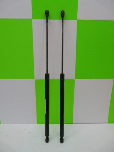 Gas springs tailgate - 2,